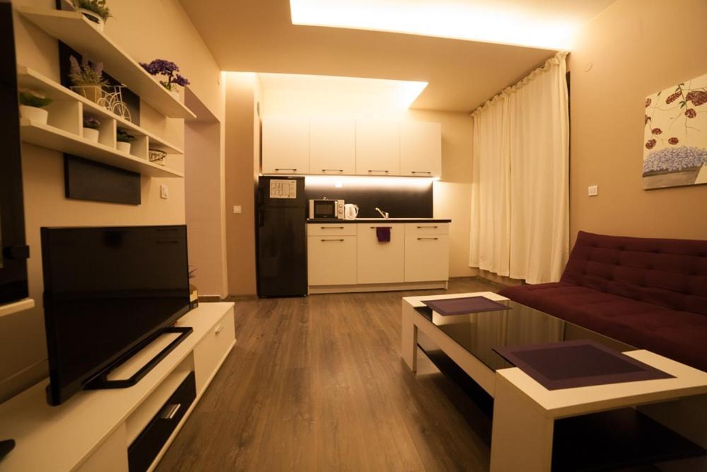 Апартамент Ели Pleven Exterior foto